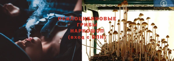 бошки Алзамай