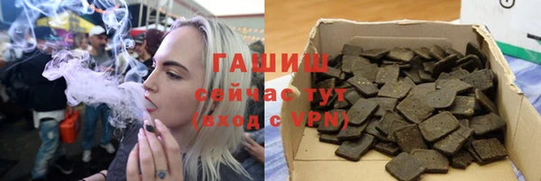 хмурый Алексин