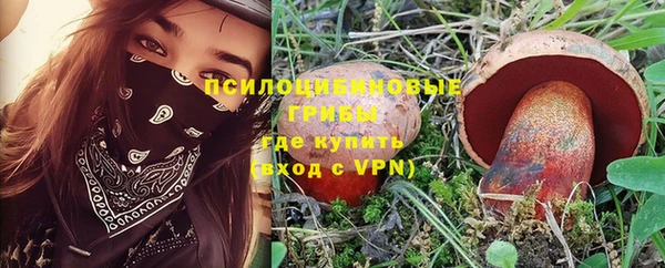 шишки Абинск