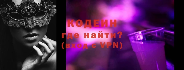 индика Струнино