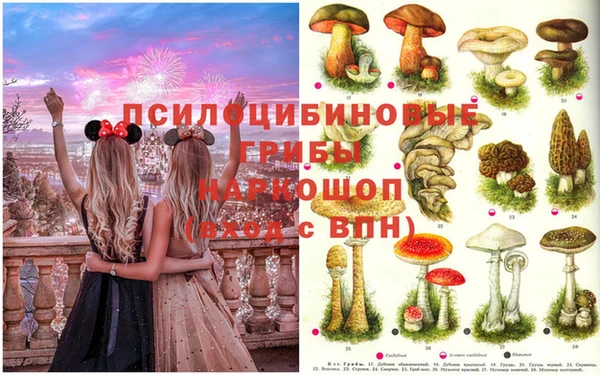 Альфа ПВП Алексеевка