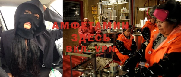 хмурый Алексин