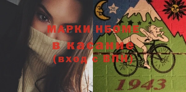 хмурый Алексин