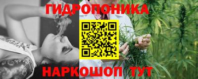 гашик Пыть-Ях