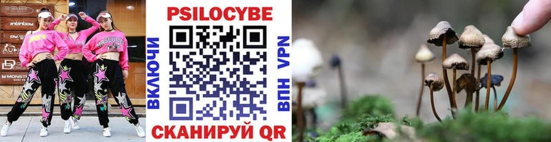 дарнет шоп  Удомля  Псилоцибиновые грибы GOLDEN TEACHER 